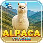 alpaca777